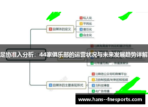 足协准入分析：44家俱乐部的运营状况与未来发展趋势详解